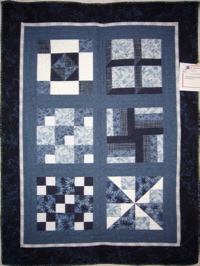 Blue and White Sampler