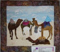 Camels for Julia