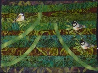 Backyard Birds